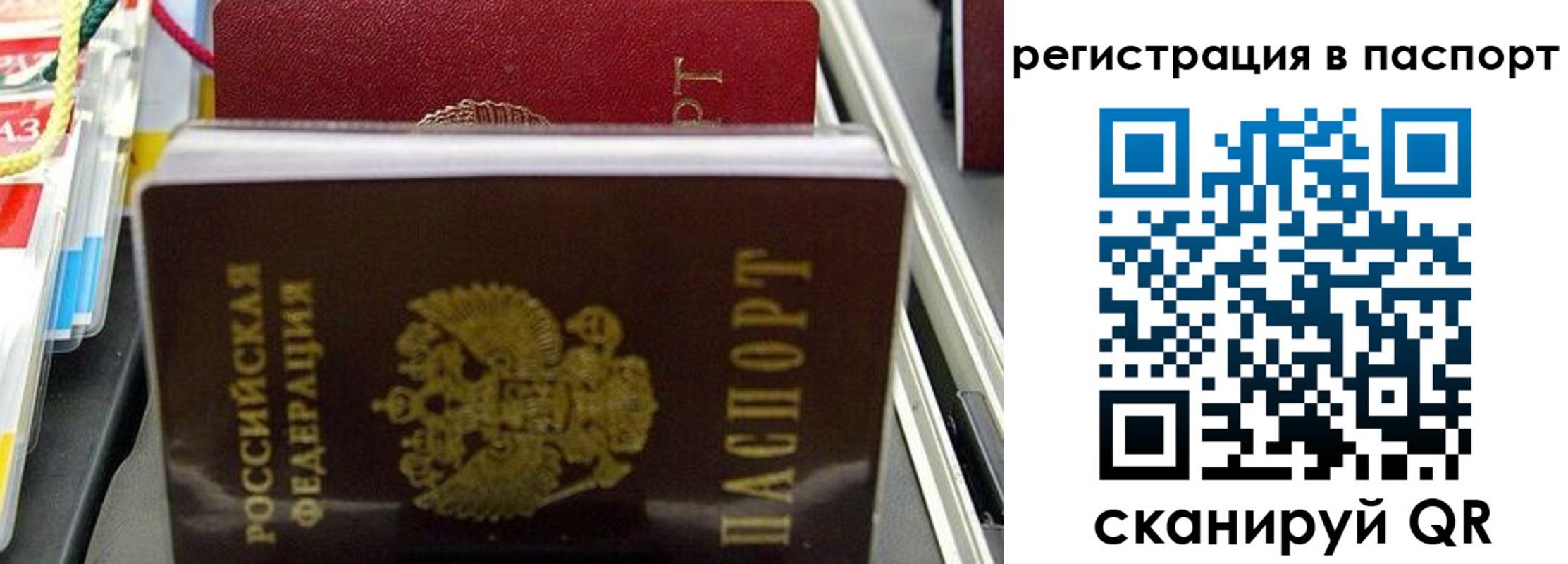 прописка для школы в Чечне